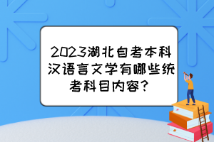 2023湖北自考本科漢語(yǔ)言文學(xué)有哪些統(tǒng)考科目?jī)?nèi)容？