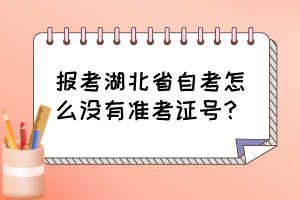 報(bào)考湖北省自考怎么沒(méi)有準(zhǔn)考證號(hào)？