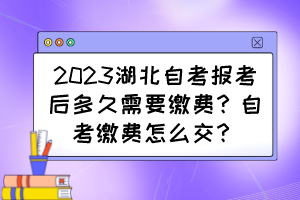 2023湖北自考報(bào)考后多久需要繳費(fèi)？自考繳費(fèi)怎么交？