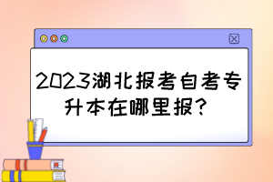 2023湖北報考自考專升本在哪里報？