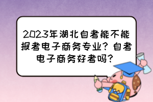 2023年湖北自考能不能報(bào)考電子商務(wù)專業(yè)？自考電子商務(wù)好考嗎？