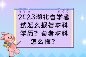 2023湖北自學(xué)考試怎么報(bào)名本科學(xué)歷？自考本科怎么報(bào)？