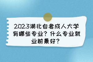 2023湖北自考成人大學有哪些專業(yè)？什么專業(yè)就業(yè)前景好？