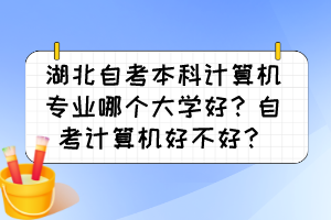 湖北自考本科計(jì)算機(jī)專業(yè)哪個(gè)大學(xué)好？自考計(jì)算機(jī)好不好？