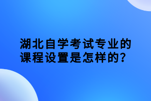 湖北自學(xué)考試專業(yè)的課程設(shè)置是怎樣的？