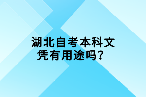 湖北自考本科文憑有用途嗎？