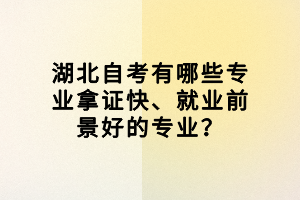 湖北自考有哪些專業(yè)拿證快、就業(yè)前景好的專業(yè)？