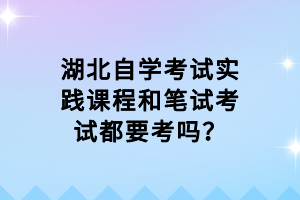 湖北自學(xué)考試實(shí)踐課程和筆試考試都要考嗎？