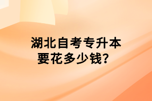 湖北自考專升本要花多少錢？