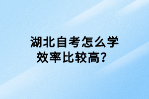 湖北自考怎么學(xué)效率比較高？