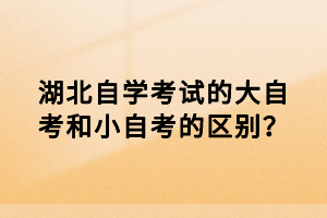 湖北自學(xué)考試的大自考和小自考的區(qū)別？