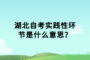 湖北自考實踐性環(huán)節(jié)是什么意思？