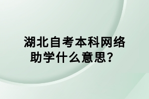 湖北自考本科網(wǎng)絡(luò)助學(xué)什么意思？