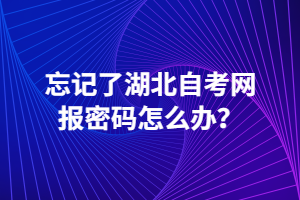 忘記了湖北自考網(wǎng)報(bào)密碼怎么辦？