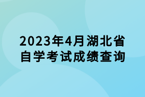 2023年4月湖北省自學(xué)考試成績(jī)查詢