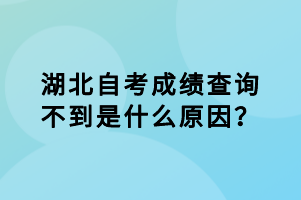 湖北自考成績查詢不到是什么原因？