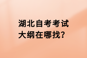 湖北自考考試大綱在哪找？