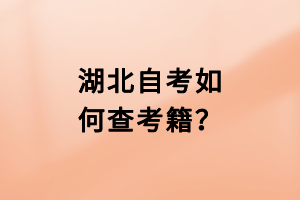 湖北自考如何查考籍？