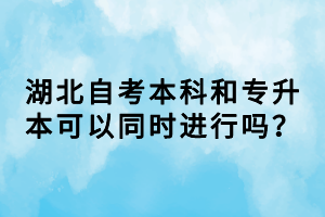 湖北自考本科和專升本可以同時進行嗎？