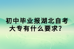 初中畢業(yè)報湖北自考大專有什么要求？