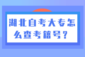 湖北自考大專怎么查考籍號？