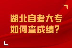 湖北自考大專如何查成績？