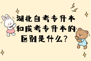 湖北自考專(zhuān)升本和成考專(zhuān)升本的區(qū)別是什么？