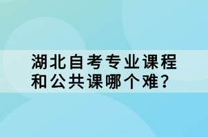 湖北自考專業(yè)課程和公共課哪個難？