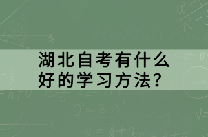 湖北自考有什么好的學習方法？