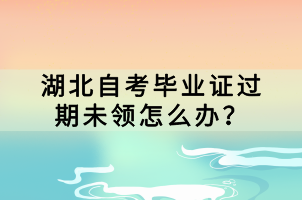 湖北自考畢業(yè)證過期未領(lǐng)怎么辦？