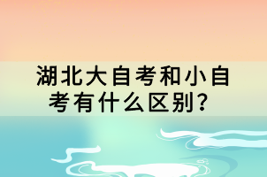 湖北大自考和小自考有什么區(qū)別？