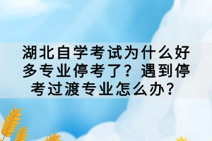 湖北自學(xué)考試為什么好多專業(yè)?？剂?？遇到停考過渡專業(yè)怎么辦？