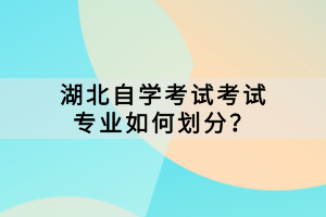 湖北自學(xué)考試考試專業(yè)如何劃分？