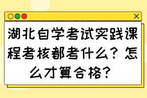 湖北自學(xué)考試實(shí)踐課程考核都考什么？怎么才算合格？