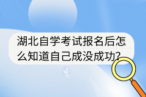 湖北自學(xué)考試報名后怎么知道自己成沒成功？