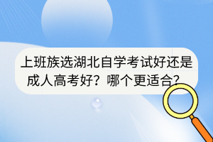 上班族選湖北自學(xué)考試好還是成人高考好？哪個更適合？