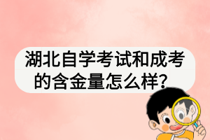 湖北自學(xué)考試和成考的含金量怎么樣？