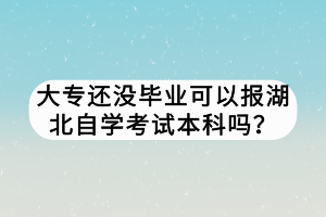 大專還沒畢業(yè)可以報湖北自學考試本科嗎？