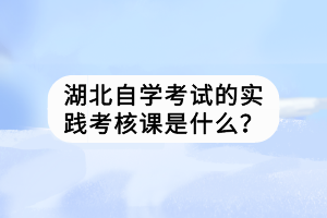 湖北自學(xué)考試的實踐考核課是什么？