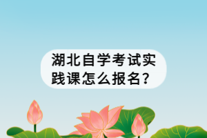 湖北自學(xué)考試實(shí)踐課怎么報(bào)名？