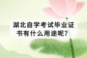 湖北自學(xué)考試畢業(yè)證書有什么用途呢？