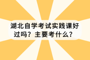 湖北自學(xué)考試實(shí)踐課好過(guò)嗎？主要考什么？