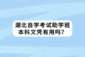 湖北自學考試助學班本科文憑有用嗎？