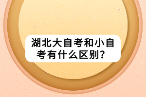 湖北大自考和小自考有什么區(qū)別？