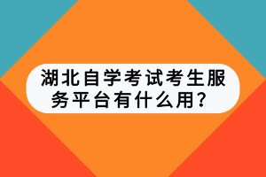 湖北自學考試考生服務平臺有什么用？