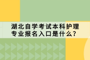 湖北自學(xué)考試本科護理專業(yè)報名入口是什么？