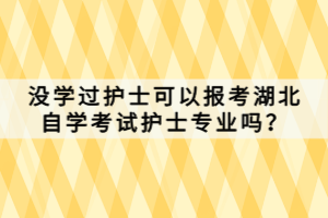 沒學(xué)過護(hù)士可以報考湖北自學(xué)考試護(hù)士專業(yè)嗎？