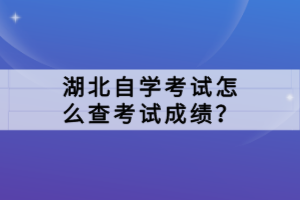 湖北自學(xué)考試怎么查考試成績(jī)？