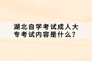 湖北自學(xué)考試成人大?？荚噧?nèi)容是什么？