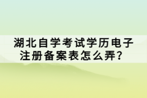 湖北自學(xué)考試學(xué)歷電子注冊備案表怎么弄？